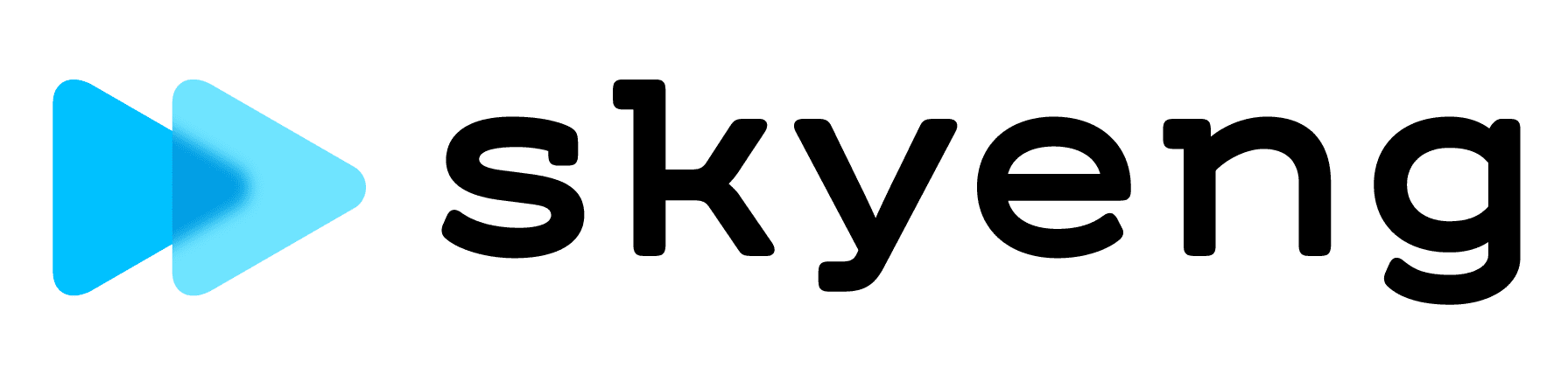skyeng lockup rgb 1