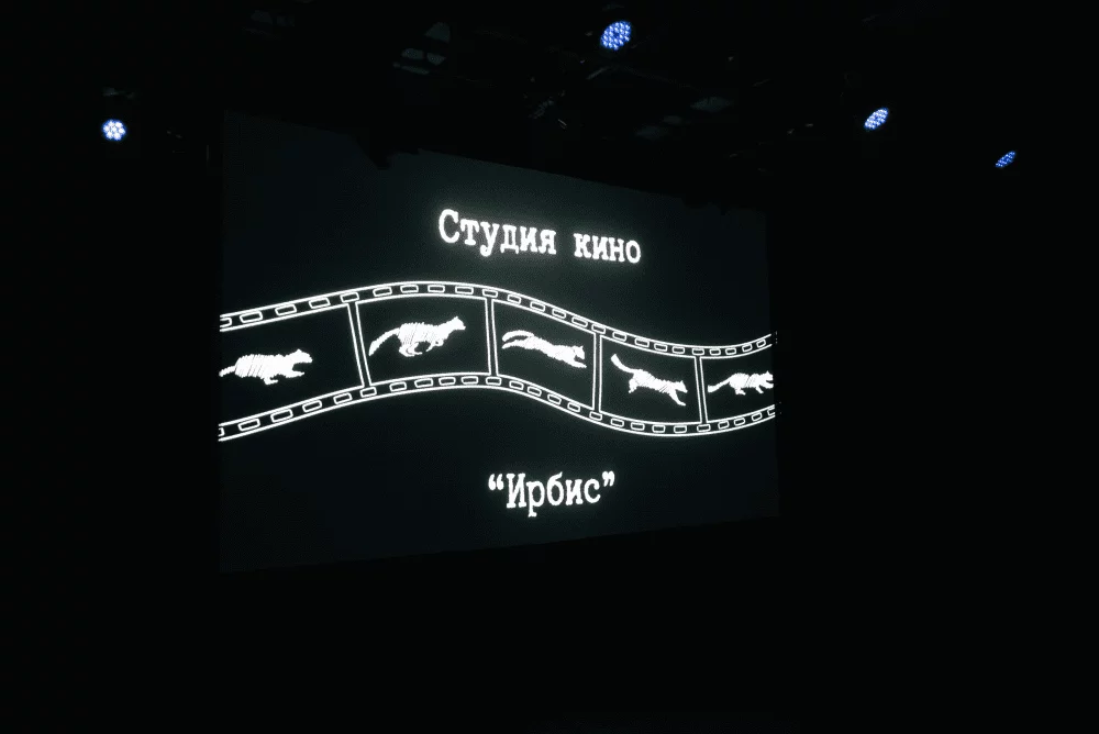 Юмор или кино: какое направление в Ирбисе выбрать для ребёнка